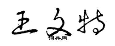 曾庆福王文特草书个性签名怎么写