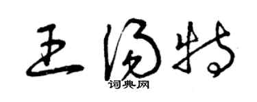 曾庆福王汤特草书个性签名怎么写
