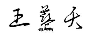 曾庆福王蓝夭草书个性签名怎么写