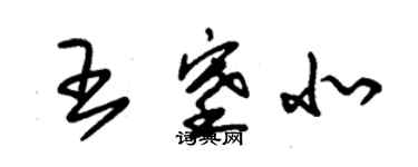 朱锡荣王塞北草书个性签名怎么写