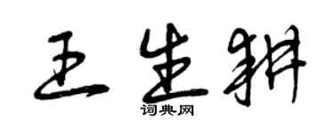 曾庆福王生耕草书个性签名怎么写
