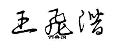 曾庆福王飞潜草书个性签名怎么写