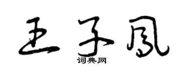 曾庆福王子凤草书个性签名怎么写
