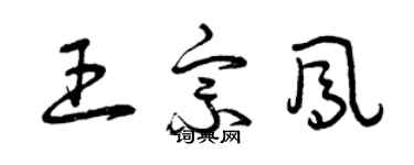 曾庆福王宗凤草书个性签名怎么写