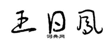 曾庆福王日凤草书个性签名怎么写