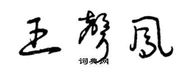 曾庆福王声凤草书个性签名怎么写