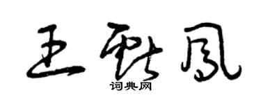 曾庆福王献凤草书个性签名怎么写