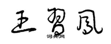 曾庆福王习凤草书个性签名怎么写