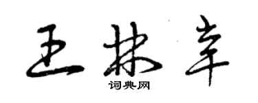 曾庆福王林辛草书个性签名怎么写