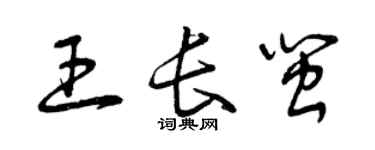 曾庆福王长闽草书个性签名怎么写