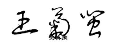 曾庆福王菊闽草书个性签名怎么写