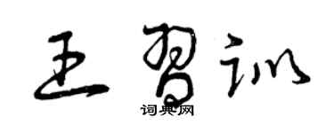 曾庆福王习训草书个性签名怎么写