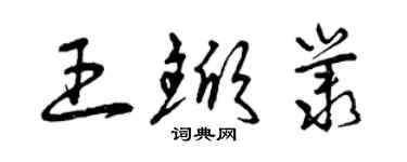 曾庆福王锨丛草书个性签名怎么写