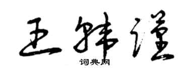 曾庆福王韩谨草书个性签名怎么写