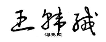 曾庆福王韩绒草书个性签名怎么写