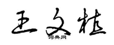 曾庆福王文植草书个性签名怎么写