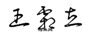 曾庆福王霜立草书个性签名怎么写