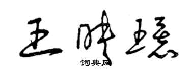 曾庆福王映环草书个性签名怎么写