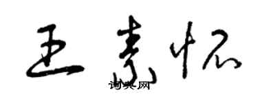 曾庆福王素怀草书个性签名怎么写