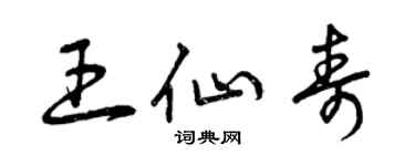 曾庆福王仙寿草书个性签名怎么写