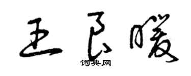 曾庆福王良暖草书个性签名怎么写