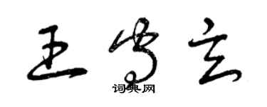 曾庆福王守玄草书个性签名怎么写