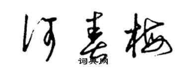 曾庆福何春梅草书个性签名怎么写