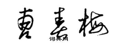 曾庆福曹春梅草书个性签名怎么写