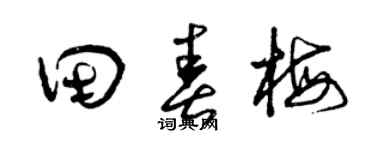 曾庆福田春梅草书个性签名怎么写
