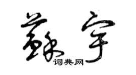曾庆福苏宇草书个性签名怎么写