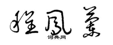 曾庆福程凤兰草书个性签名怎么写
