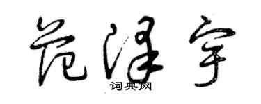 曾庆福范泽宇草书个性签名怎么写