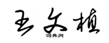 朱锡荣王文植草书个性签名怎么写