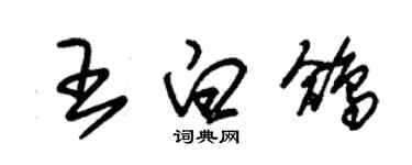 朱锡荣王白鸽草书个性签名怎么写