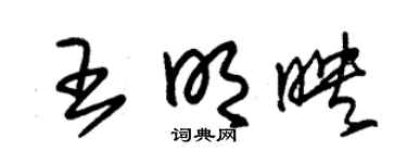 朱锡荣王明映草书个性签名怎么写