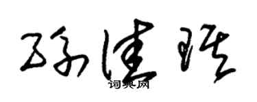 朱锡荣孙佳琪草书个性签名怎么写