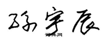 朱锡荣孙宇辰草书个性签名怎么写