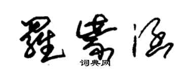 朱锡荣罗紫涵草书个性签名怎么写