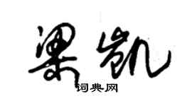 朱锡荣梁凯草书个性签名怎么写