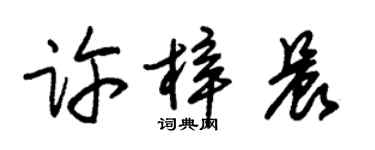 朱锡荣许梓晨草书个性签名怎么写