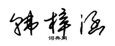 朱锡荣韩梓涵草书个性签名怎么写