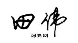 朱锡荣田伟草书个性签名怎么写