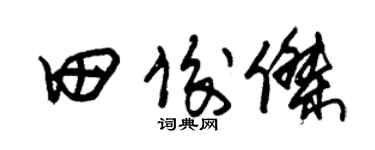 朱锡荣田俊杰草书个性签名怎么写