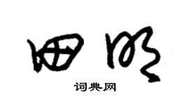 朱锡荣田明草书个性签名怎么写