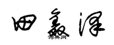 朱锡荣田鑫泽草书个性签名怎么写