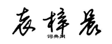 朱锡荣袁梓晨草书个性签名怎么写
