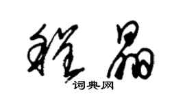 朱锡荣程晶草书个性签名怎么写
