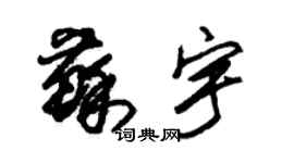 朱锡荣苏宇草书个性签名怎么写