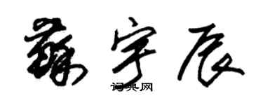 朱锡荣苏宇辰草书个性签名怎么写