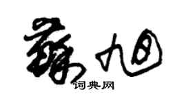 朱锡荣苏旭草书个性签名怎么写